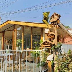 Hóa tiểu thư, công chúa ghé nhà trên đồi đầy nắng và thơ mộng