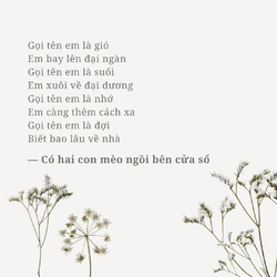 MẤY ĐOẠN THƠ TÌNH RUNG RINH TRÁI TIM TRONG CÁC TÁC PHẨM CỦA BÁC NGUYỄN NHẬT ÁNH