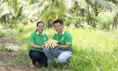 Trồng cây dừa nhưng 10 năm đầu không lấy trái, chỉ lấy mật…