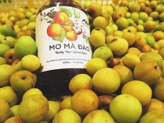 BÍ MẬT CỦA MƠ MÁ ĐÀO