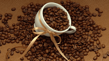 PHÂN LOẠI CÁC LOẠI HẠT CAFE NGUYÊN CHẤT