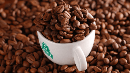 PHÂN LOẠI CÁC LOẠI HẠT CAFE NGUYÊN CHẤT