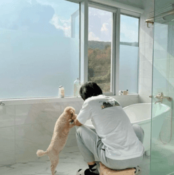 Căn biệt thự xa hoa tuyệt đẹp của "anh sếp" Jung Myung Seok ngoài đời thực