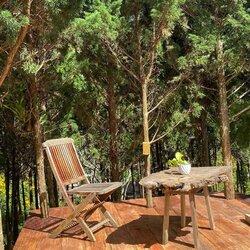 MỘT HOMESTAY YÊN TĨNH NÉP MÌNH TRONG RỪNG THÔNG 🌲