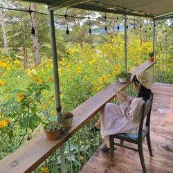 MỘT HOMESTAY YÊN TĨNH NÉP MÌNH TRONG RỪNG THÔNG 🌲
