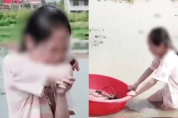 Người cha Trung Quốc yêu cầu con gái 11 tuổi đào củ sen giữa trời nắng nóng gay gắt để dạy con giá trị giáo dục