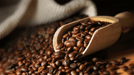 So sánh cà phê Arabica và Robusta loại nào ngon hơn?