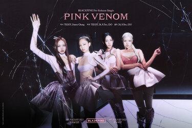 BLACKPINK được Knet khen ngợi hết lời khi đưa đàn Geomungo truyền thống vào teaser 'Pink Venom'