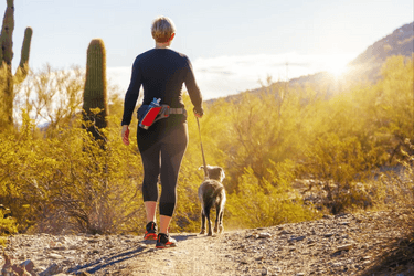 Bắt đầu đi bộ để sống lâu hơn và có sức khỏe tốt hơn - 7.000 bước mỗi ngày đủ để giảm một nửa nguy cơ tử vong