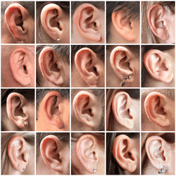 Cách hoạt động của đôi tai, cách chúng ta nghe và lời khuyên của chuyên gia để giữ sức khỏe cho đôi tai suốt đời