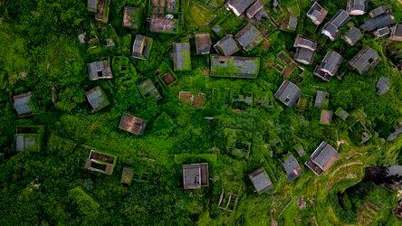 Độc đáo ngôi làng phủ xanh tại Trung Quốc