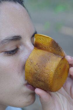 Bộ đồ ăn có khả năng phân hủy sinh học từ vỏ quả cam