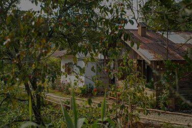 Lấp ló căn nhà gỗ thơ mộng dưới con dốc ở Đà Lạt