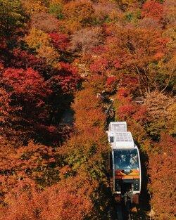Đường ray băng qua khu rừng lá đỏ ở Seoul