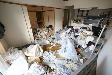 Gomi yashiki “nhà rác” : Khi con người nguyện sống chung với rác