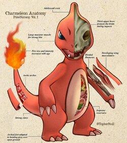 Giải phẫu Pokémon