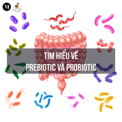 Prebiotic và Probiotic phân biệt như thế nào?