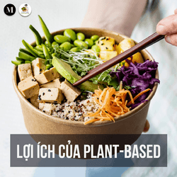 Ăn Plant-Based giúp phòng tránh bệnh tật?