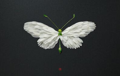 Tạo hình cắt tỉa hoa lá qua đôi tay nghệ nhân Raku Inoue